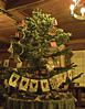 Our Tree